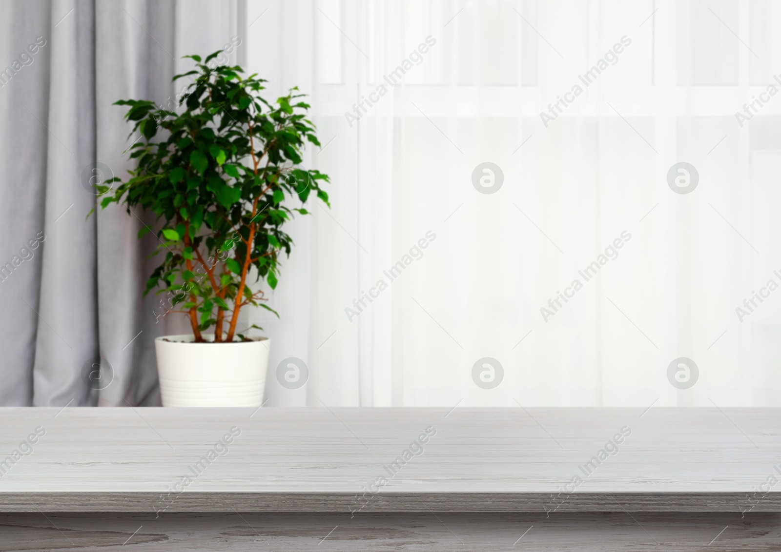 Image of Empty white wooden table near window with curtains and houseplant. Space for design