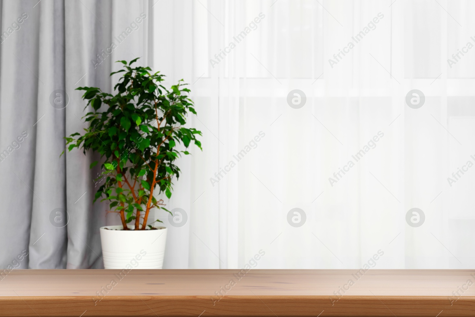 Image of Empty wooden table near window with curtains and houseplant. Space for design