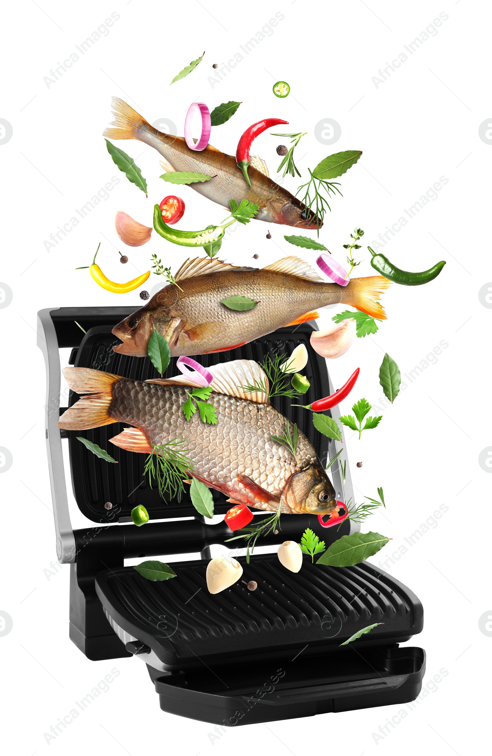 Image of Sea food, vegetables, herbs and spices falling onto electric grill against white background. Cooking meal