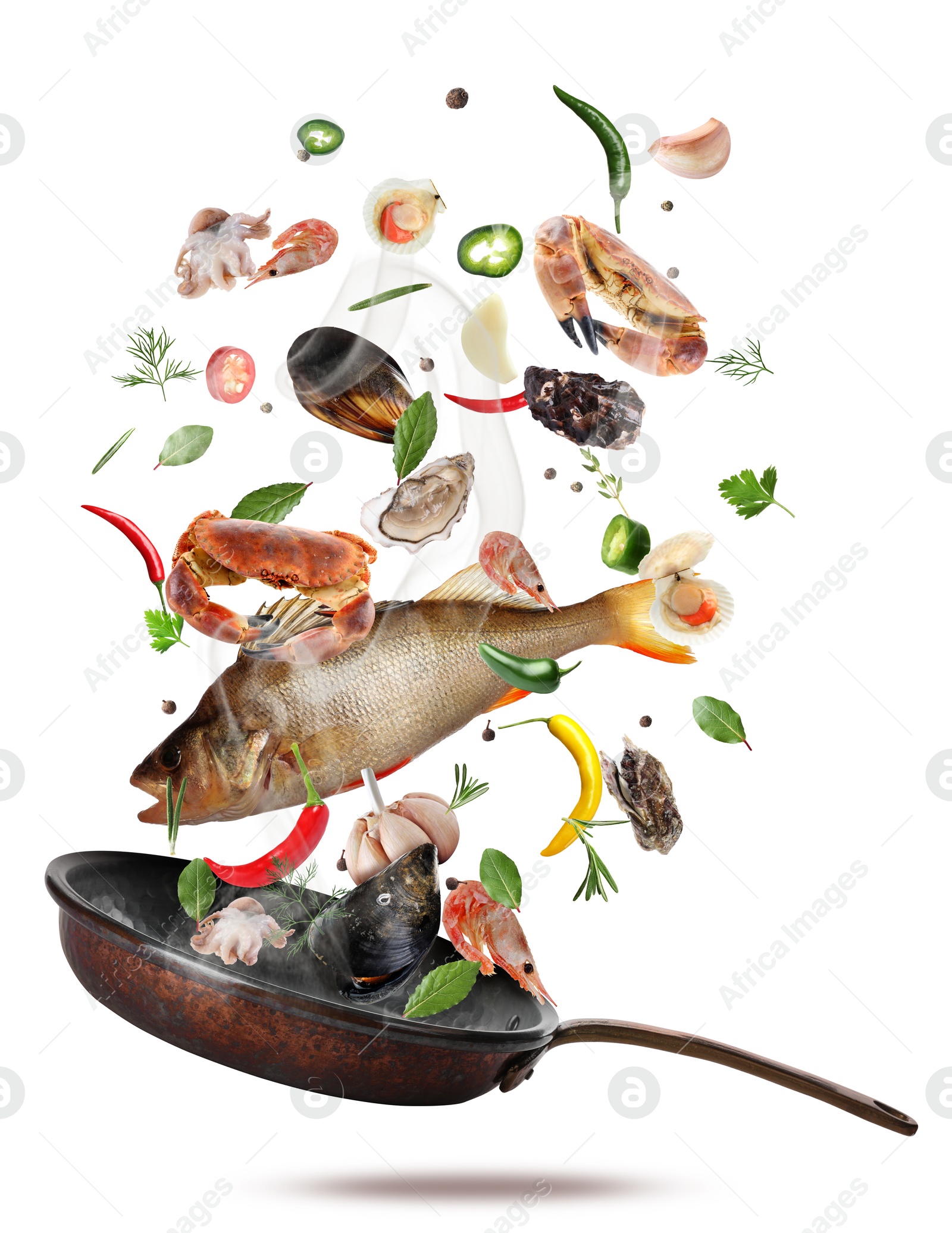 Image of Sea food, vegetables, herbs, spices and frying pan in air on white background. Cooking meal