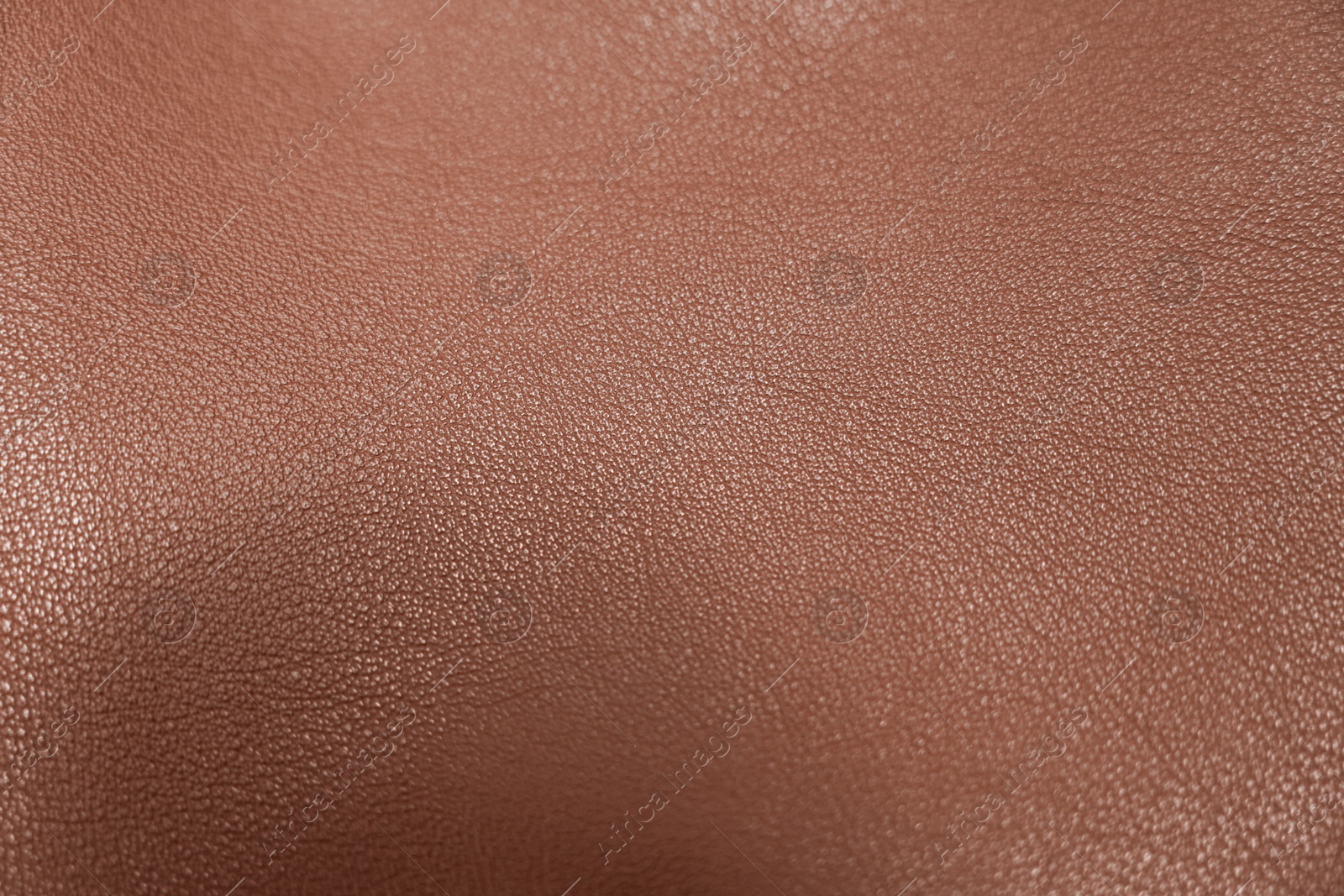 Image of Brown leather, closeup view of material texture