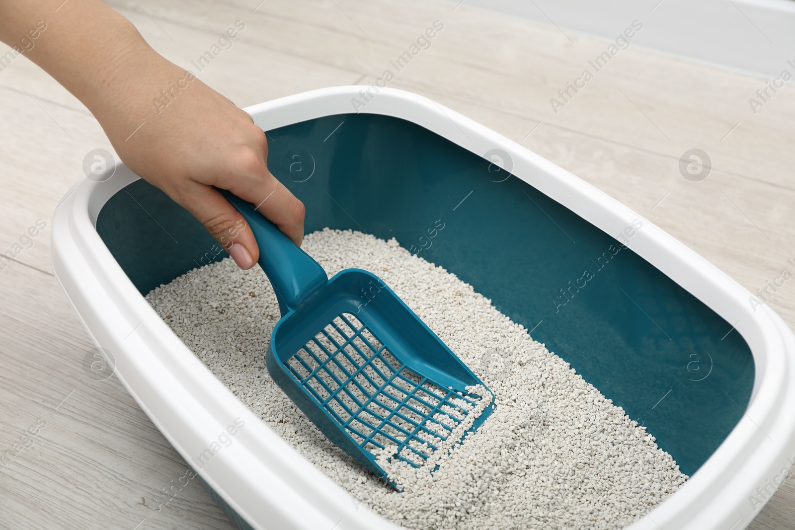 Photo of Woman cleaning cat litter tray indoors, closeup