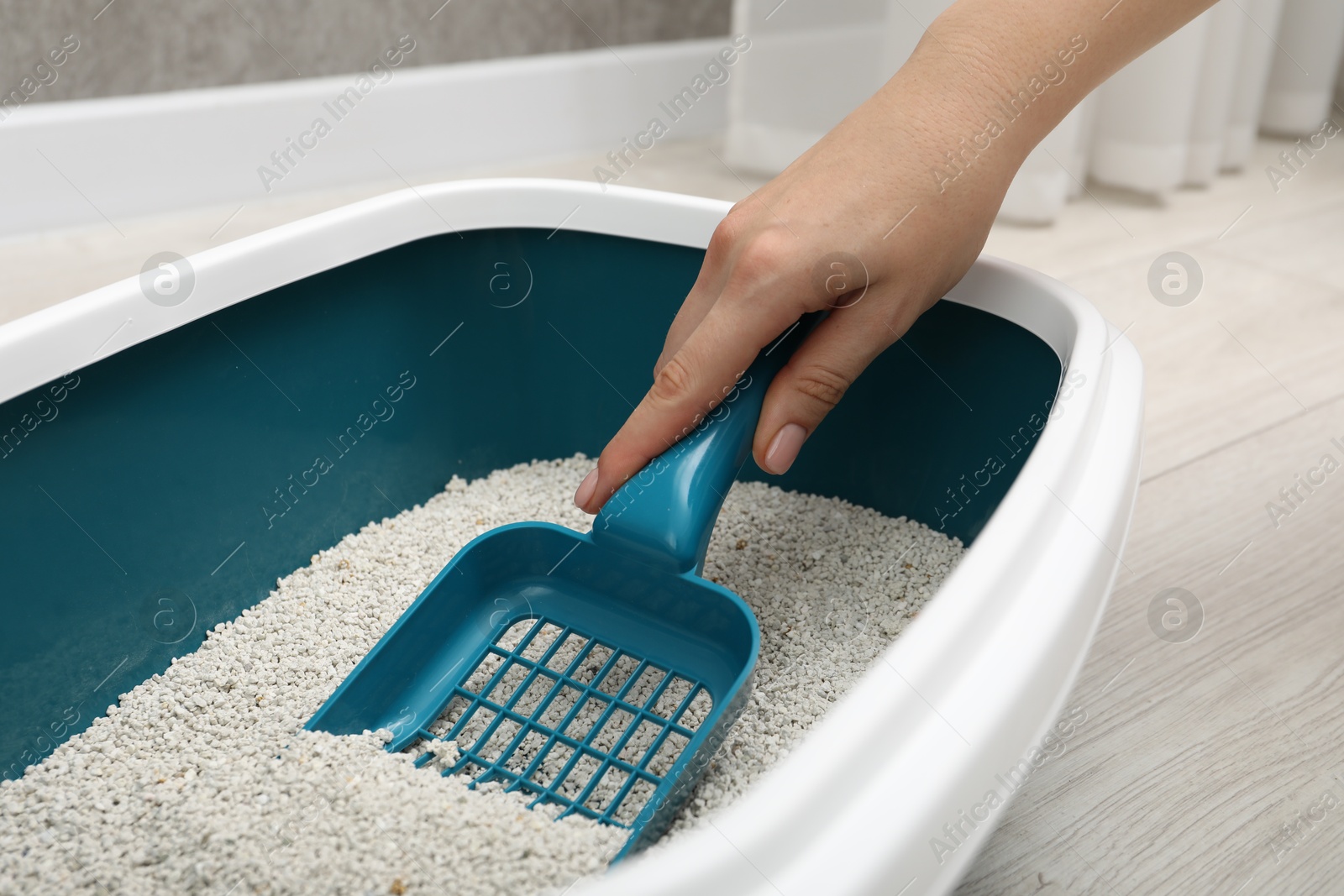 Photo of Woman cleaning cat litter tray indoors, closeup