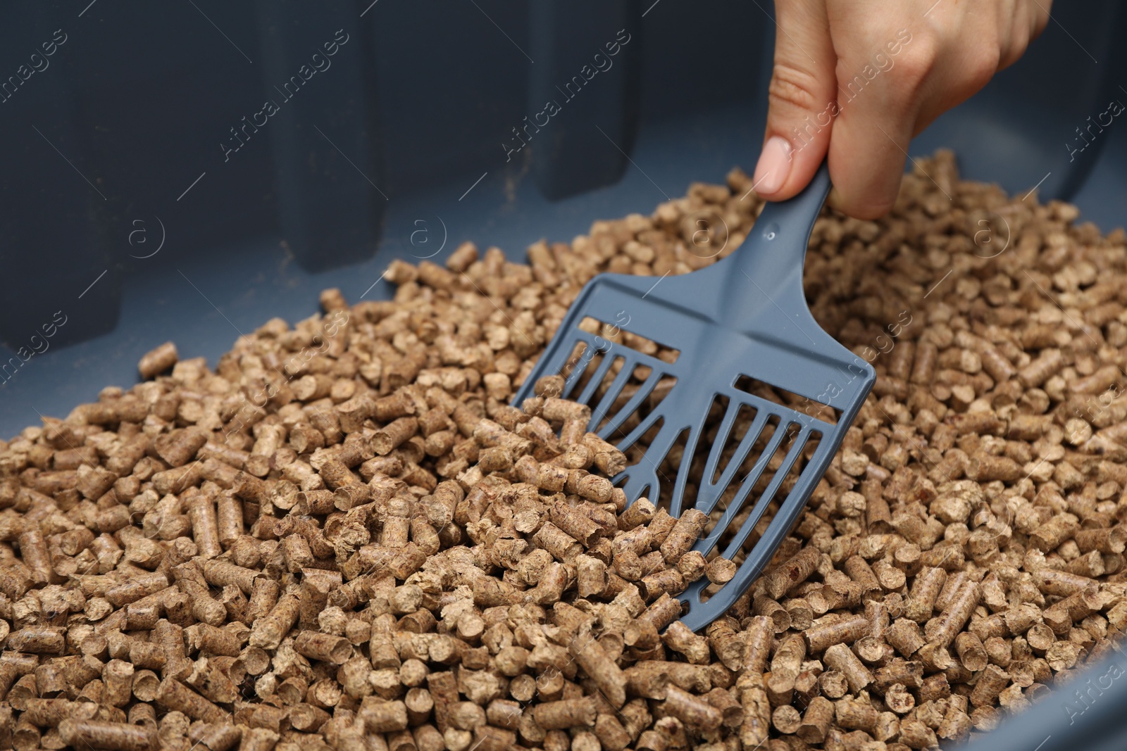 Photo of Woman cleaning cat litter tray with scoop, closeup