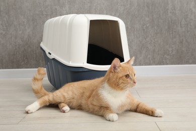 Photo of Cute ginger cat lying near litter box on floor indoors