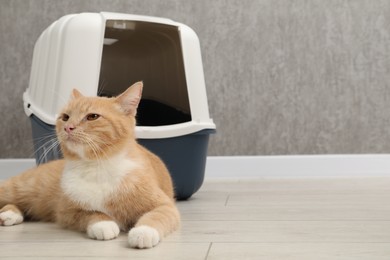 Photo of Cute ginger cat lying near litter box on floor indoors, space for text