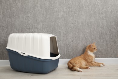 Photo of Cute ginger cat lying near litter box on floor indoors