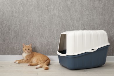 Photo of Cute ginger cat lying near litter box on floor indoors