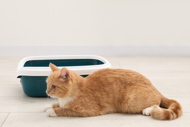 Photo of Cute ginger cat lying near litter tray on floor indoors