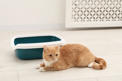 Cute ginger cat lying near litter tray on floor indoors