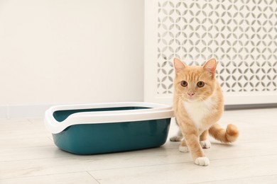 Photo of Cute ginger cat near litter tray on floor indoors