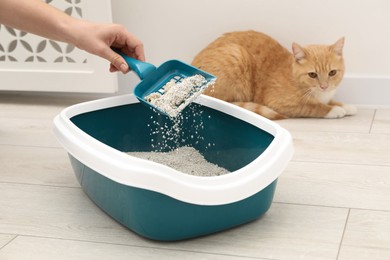 Photo of Woman cleaning cat litter tray with scoop indoors, closeup