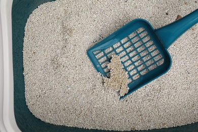 Photo of Clay cat litter and scoop in plastic container, top view