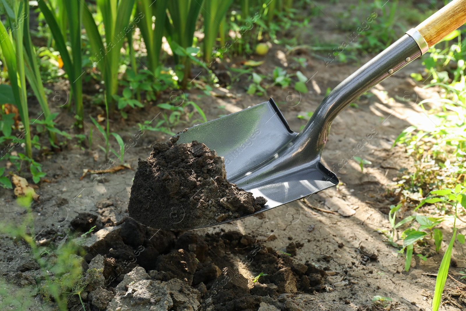 Photo of Digging soil with shovel in garden, closeup