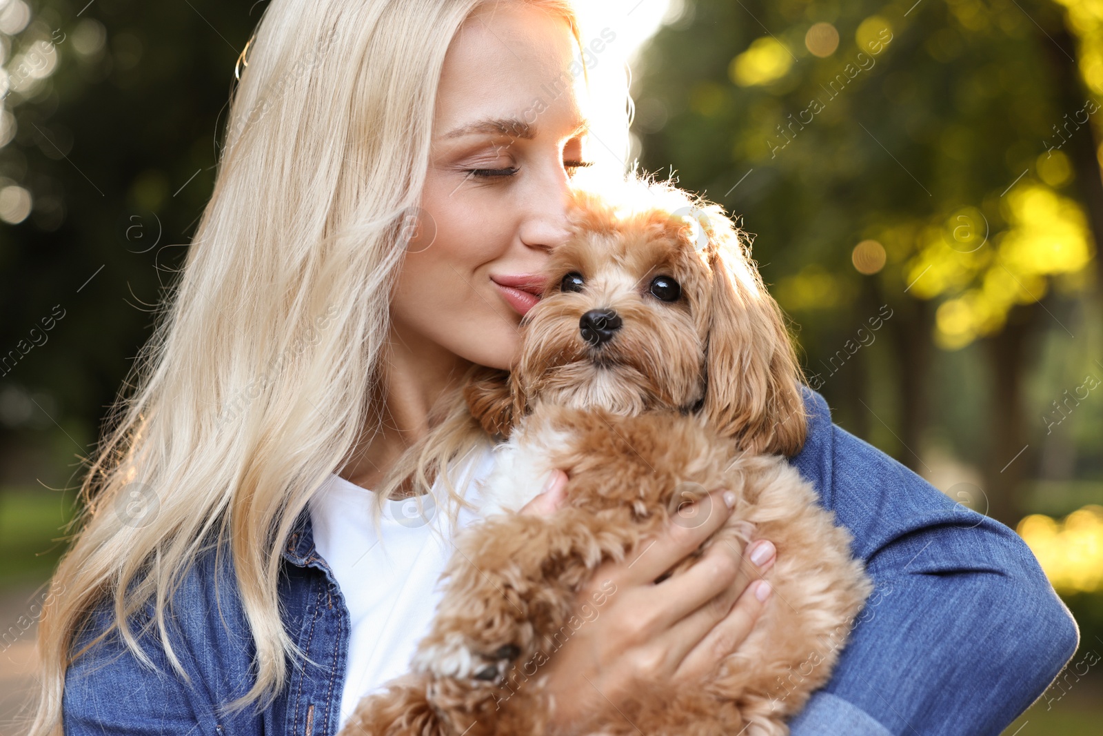 Photo of Beautiful young woman with cute dog in park