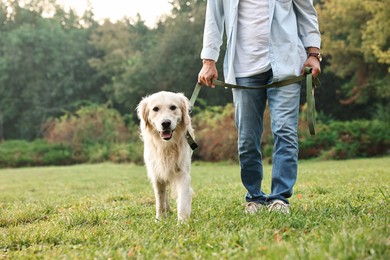 Man with cute Golden Retriever dog walking on spring day, closeup