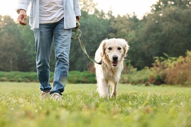 Photo of Man with cute Golden Retriever dog walking on spring day, closeup