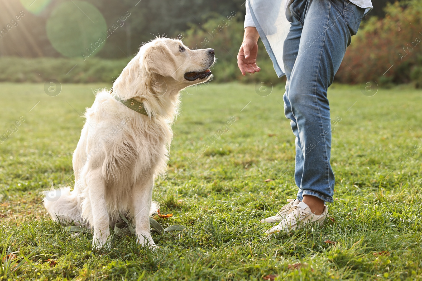 Photo of Man with cute Golden Retriever dog on spring day, closeup