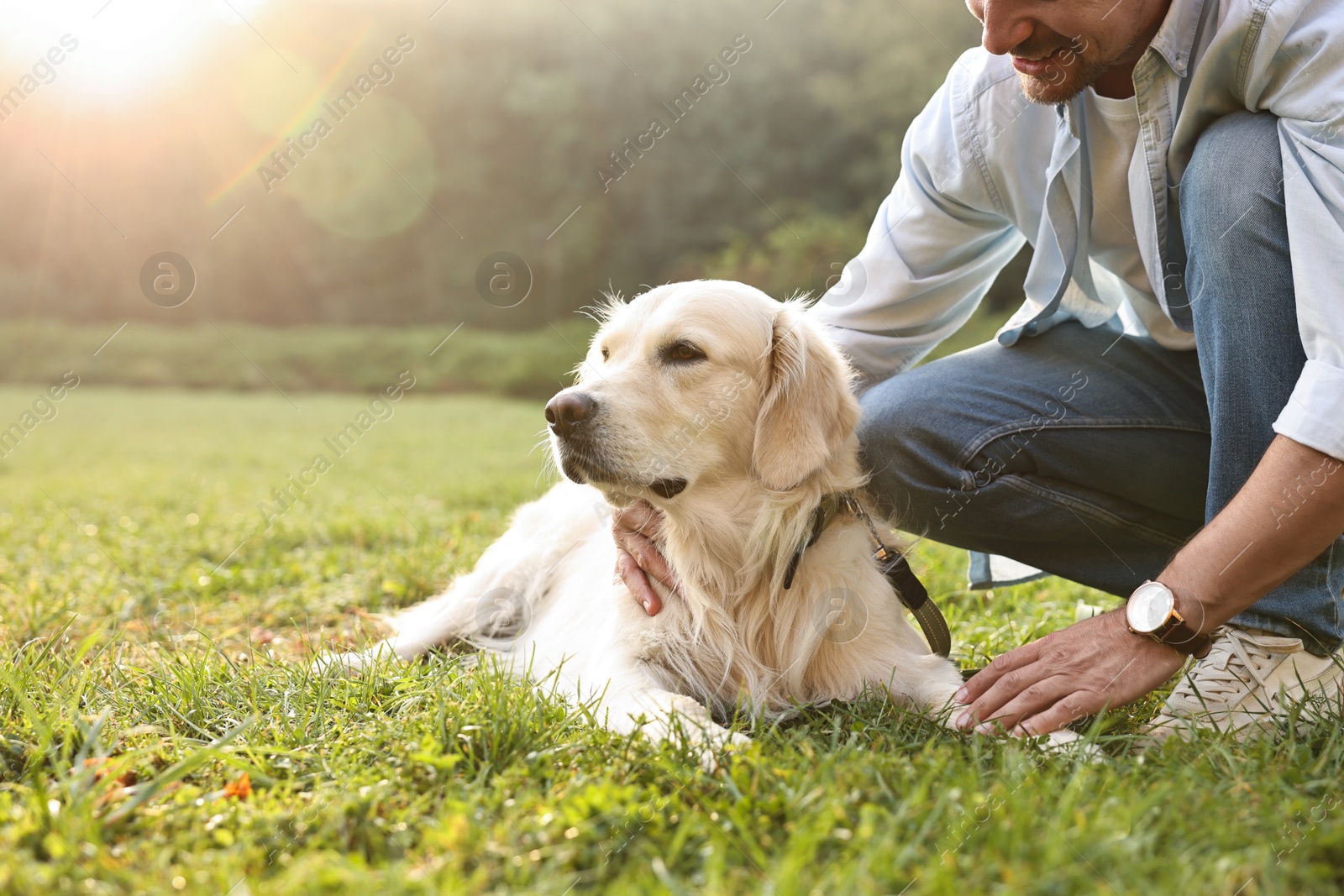 Photo of Man with cute Golden Retriever dog on spring day, closeup