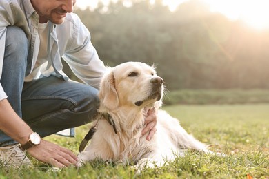 Photo of Man with cute Golden Retriever dog on spring day, closeup