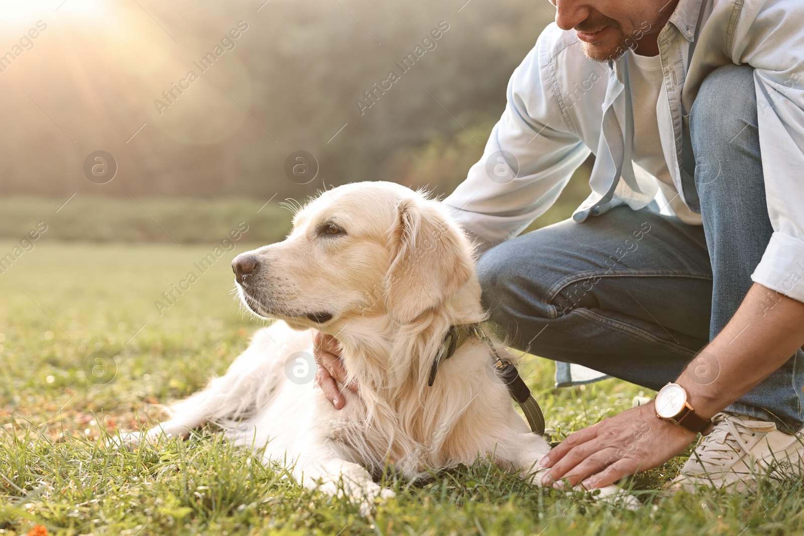 Photo of Man with cute Golden Retriever dog on spring day, closeup