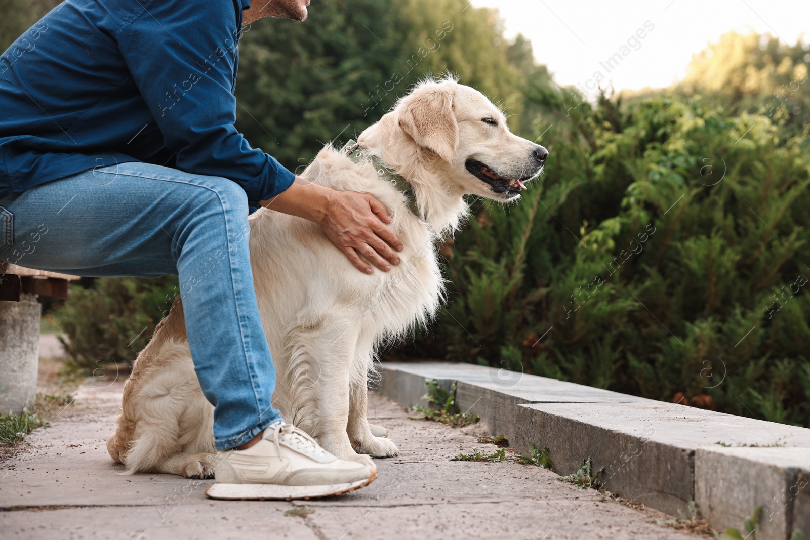 Photo of Man with cute Golden Retriever dog on spring day, closeup