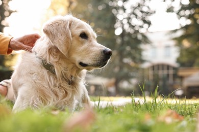 Photo of Man with cute Golden Retriever dog on spring day, closeup. Space for text