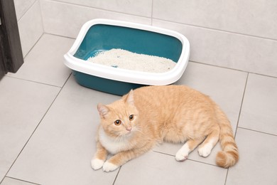 Photo of Cute ginger cat lying near litter tray indoors