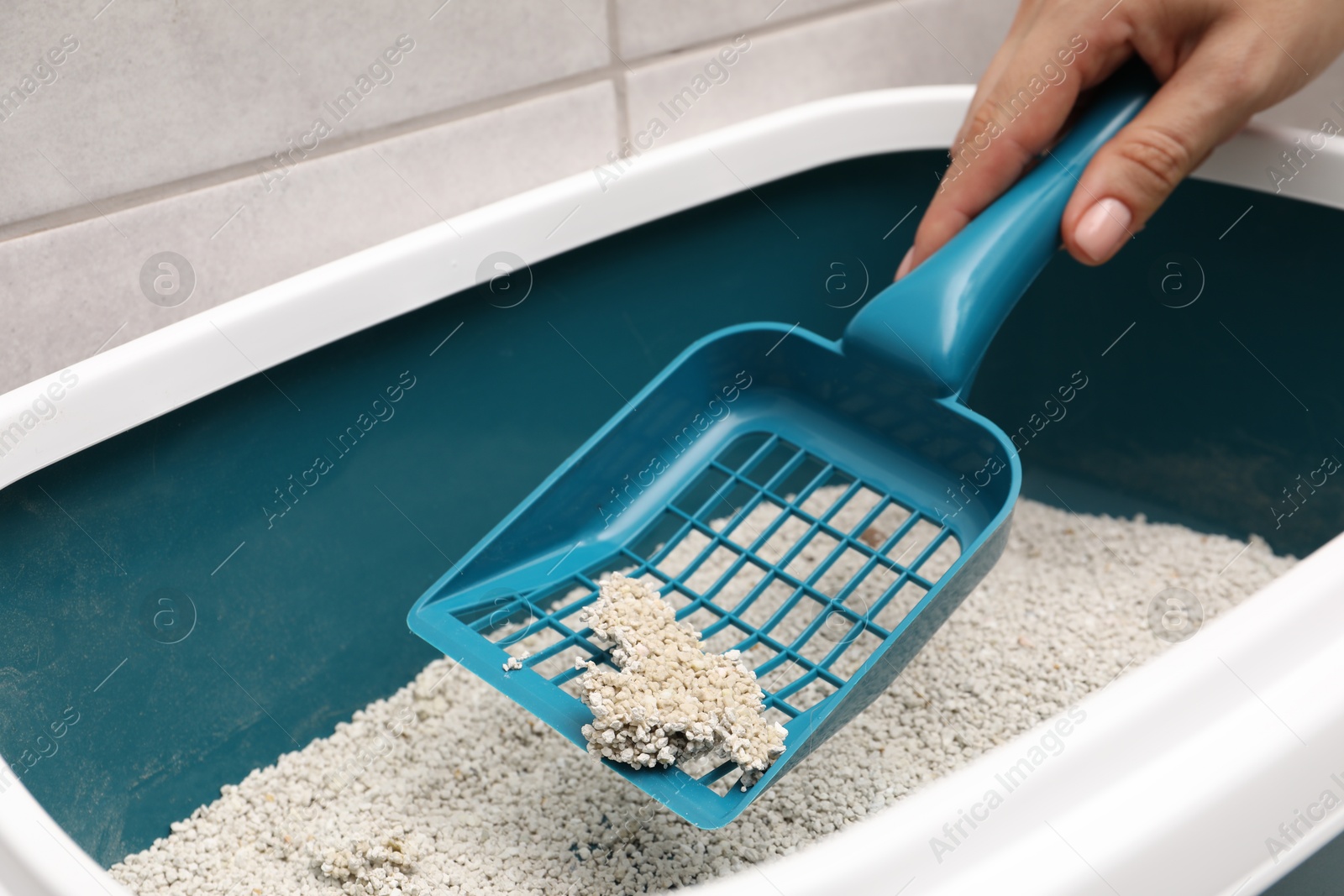 Photo of Woman cleaning cat litter tray with scoop indoors, closeup