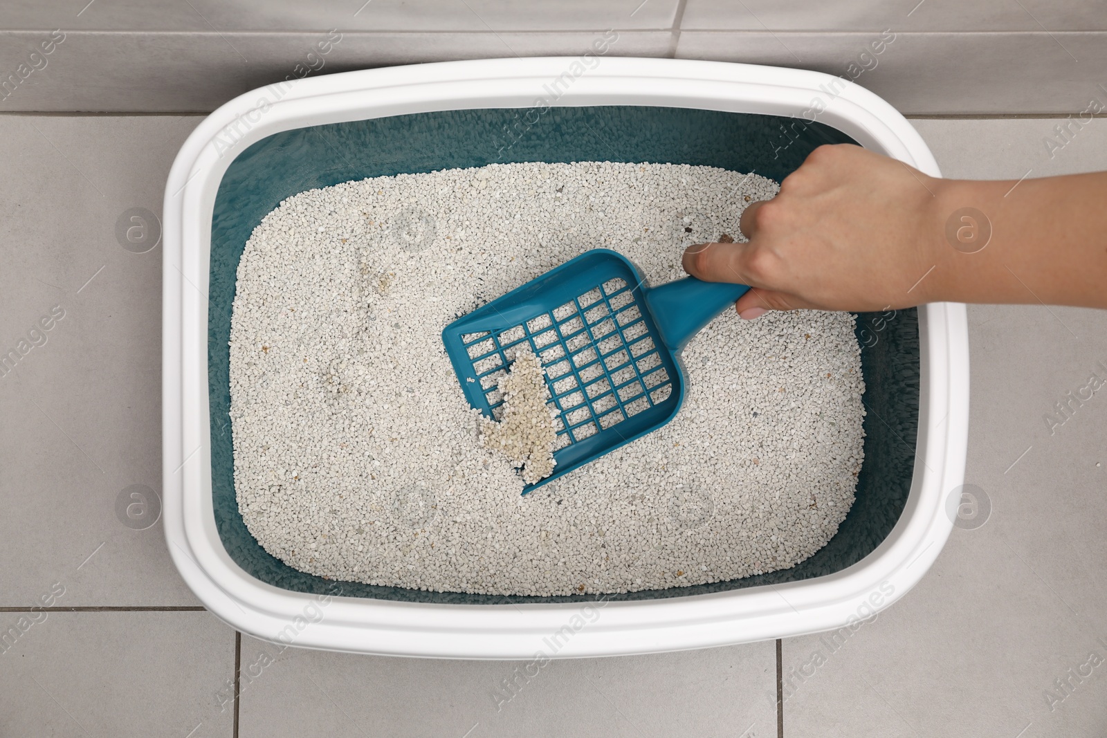 Photo of Woman cleaning cat litter tray with scoop indoors, top view