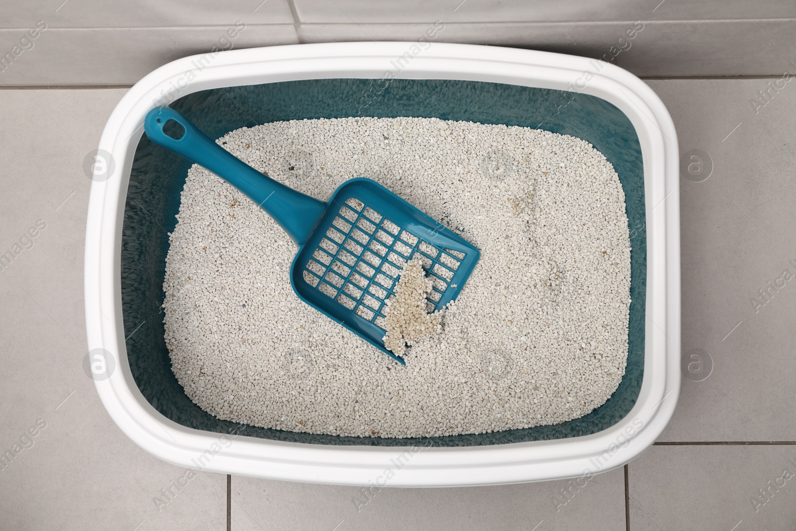 Photo of Cat litter tray with filler and scoop on floor indoors, top view