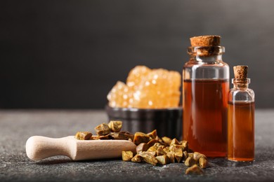 Photo of Honey tincture and scoop with propolis granules on grey textured table, closeup. Space for text