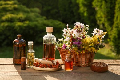 Photo of Tincture in bottles, different flowers and bark chips on wooden table outdoors