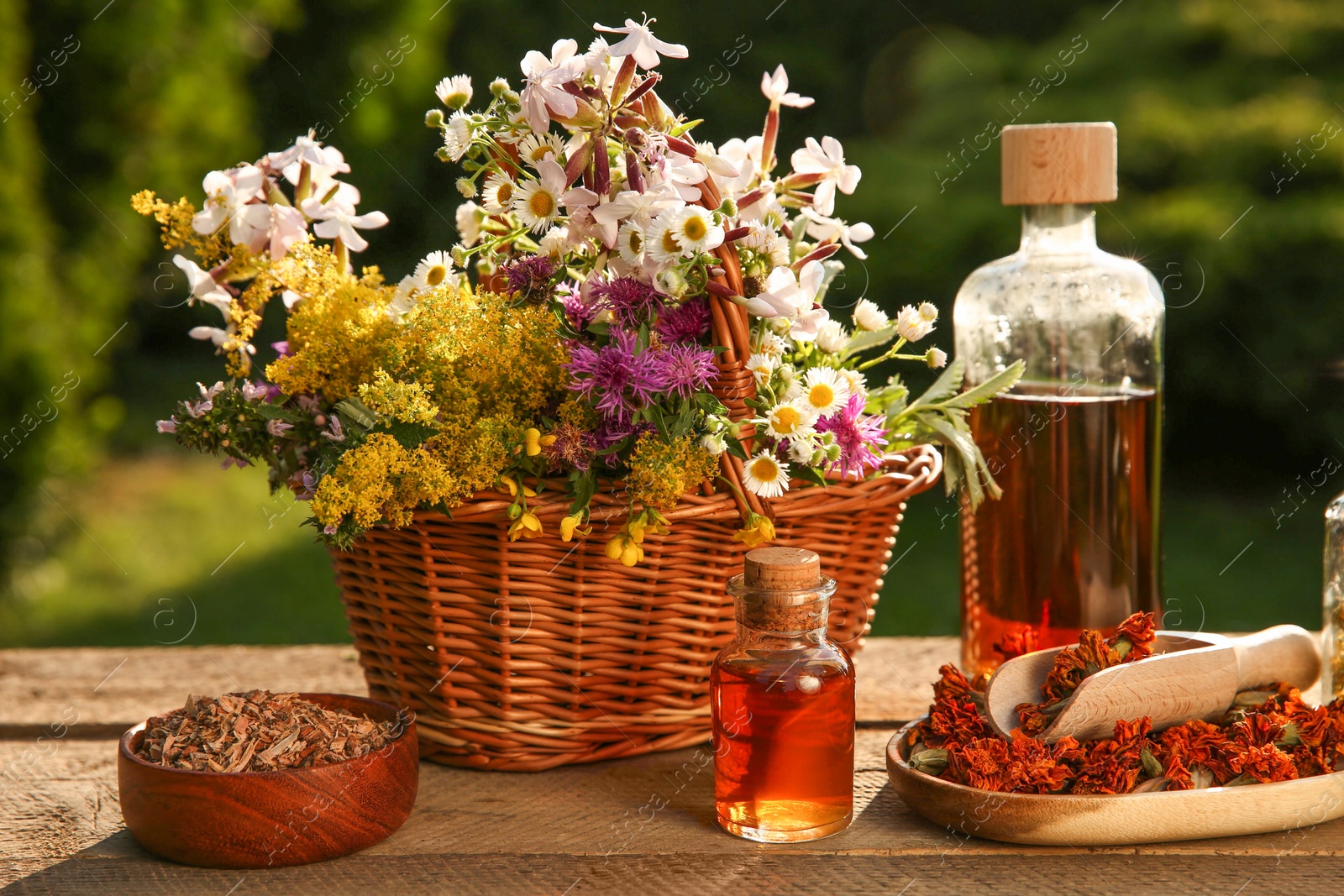 Photo of Tincture in bottles, different flowers and bark chips on wooden table outdoors