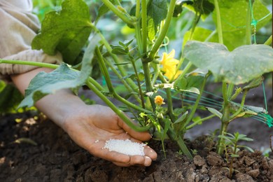 Photo of Woman putting fertilizer onto soil under plant outdoors, closeup