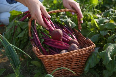 Photo of Woman with freshly harvested beetroots outdoors, closeup