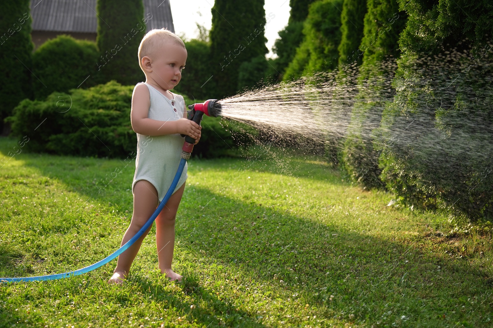 Photo of Little boy watering lawn with hose in backyard