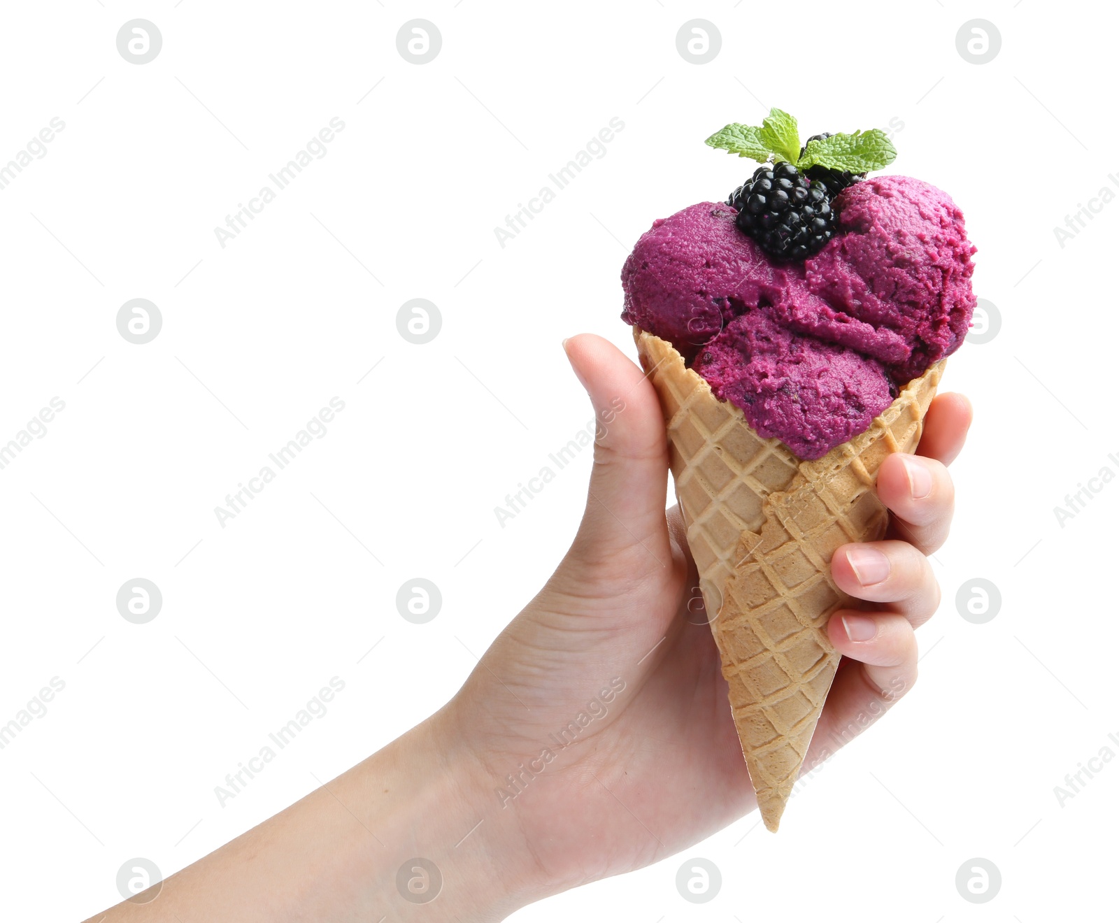 Photo of Woman holding wafer cone with delicious blackberry sorbet on white background, closeup