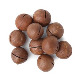 Macadamia nuts in shells isolated on white, top view