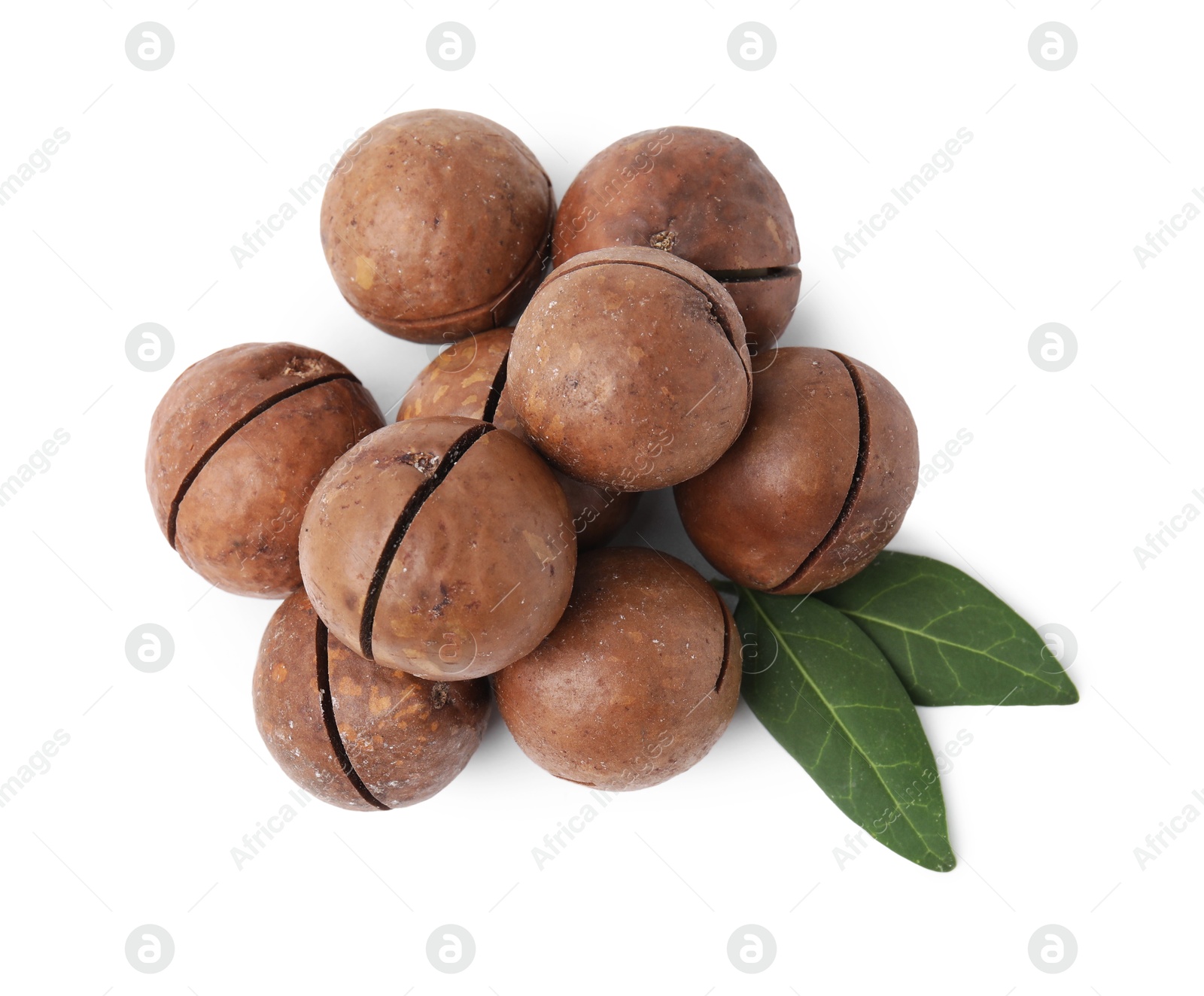 Photo of Macadamia nuts in shells isolated on white, top view