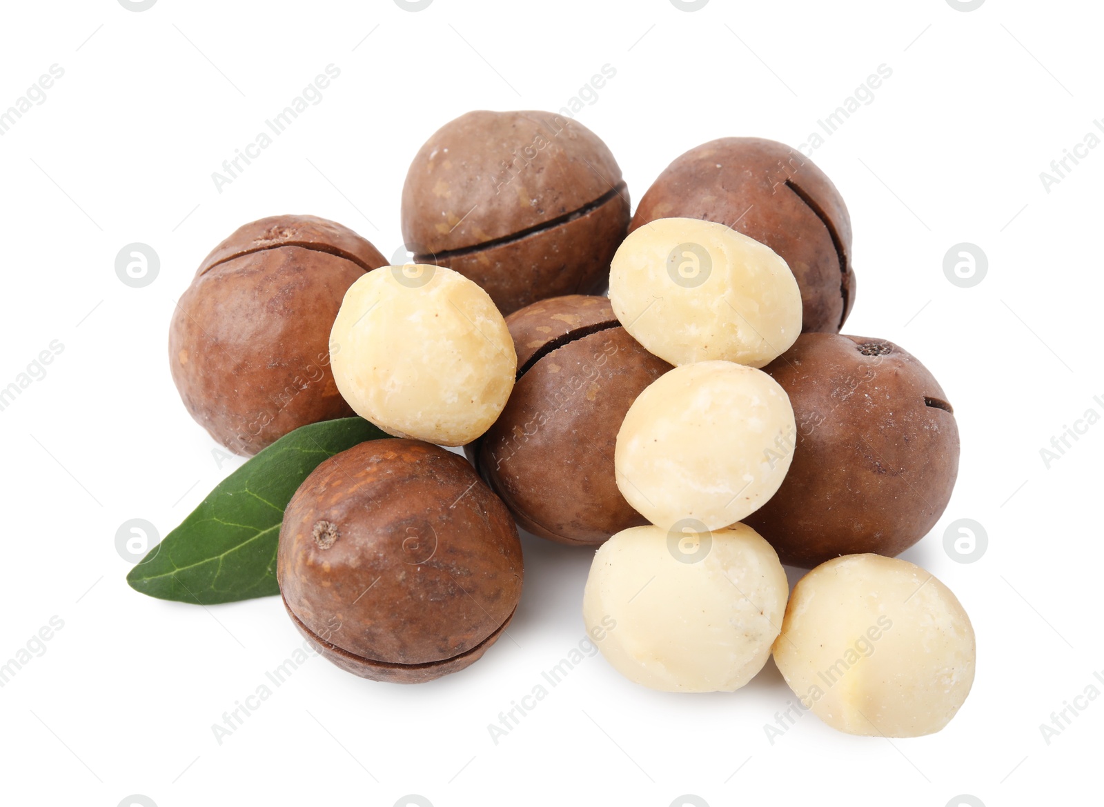 Photo of Macadamia nuts with shells isolated on white