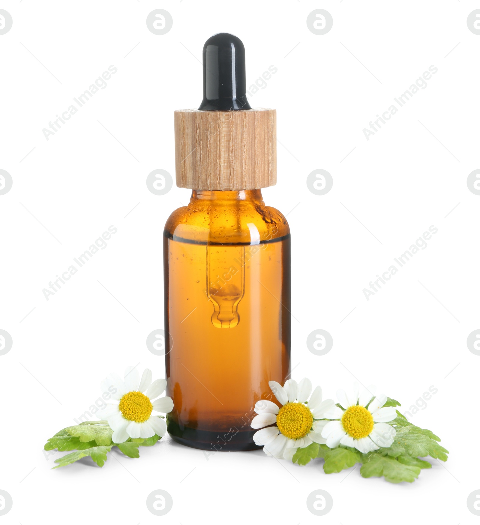 Photo of Bottle of tincture and daisy flowers isolated on white