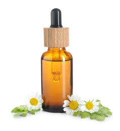 Photo of Bottle of tincture and daisy flowers isolated on white