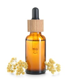 Photo of Bottle of tincture and helichrysum flowers isolated on white