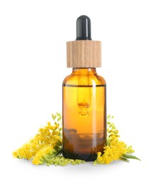 Photo of Bottle of tincture and goldenrods flowers isolated on white