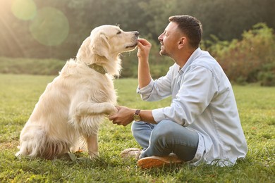 Smiling man with cute Golden Retriever dog on spring day