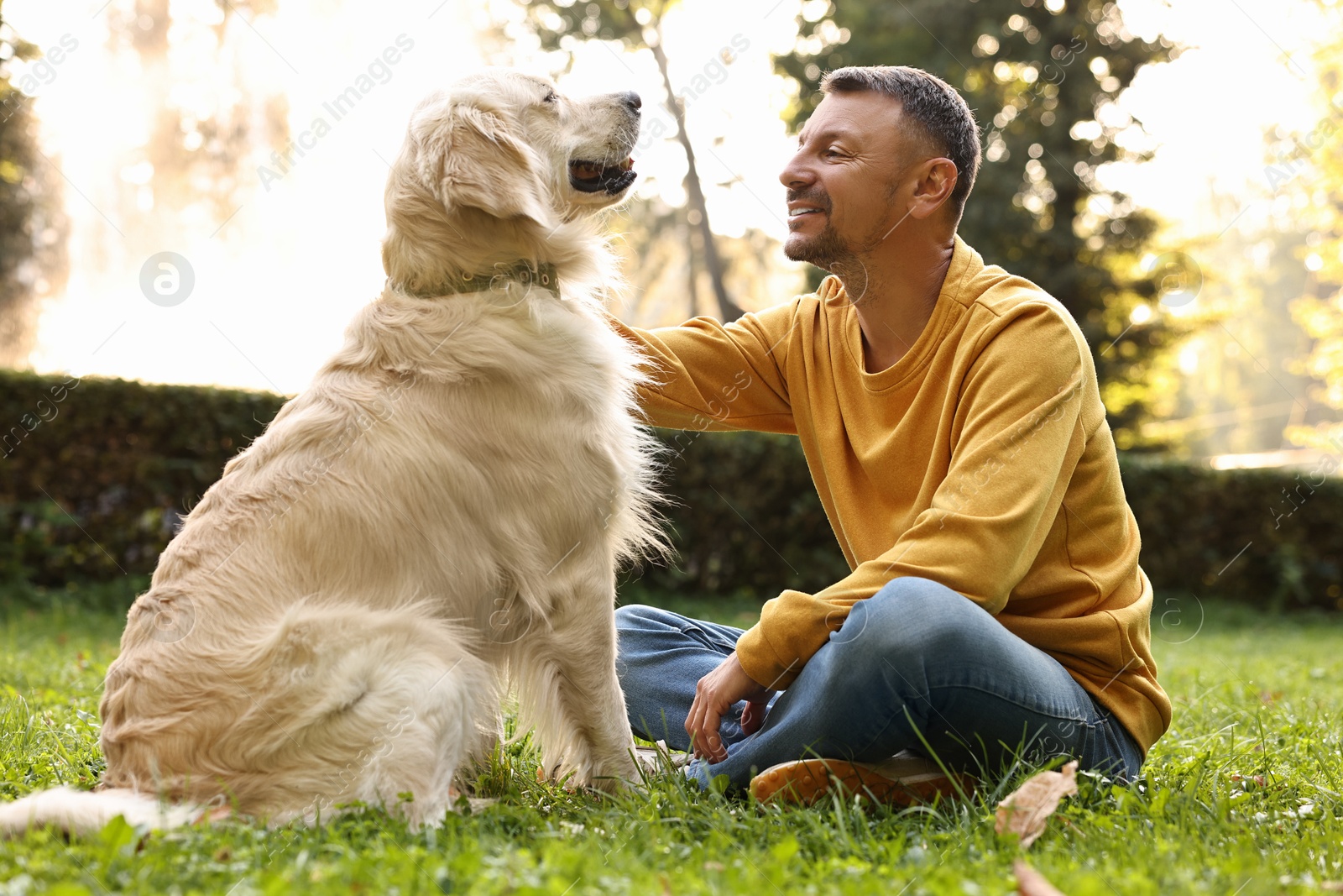 Photo of Smiling man with cute Golden Retriever dog on spring day