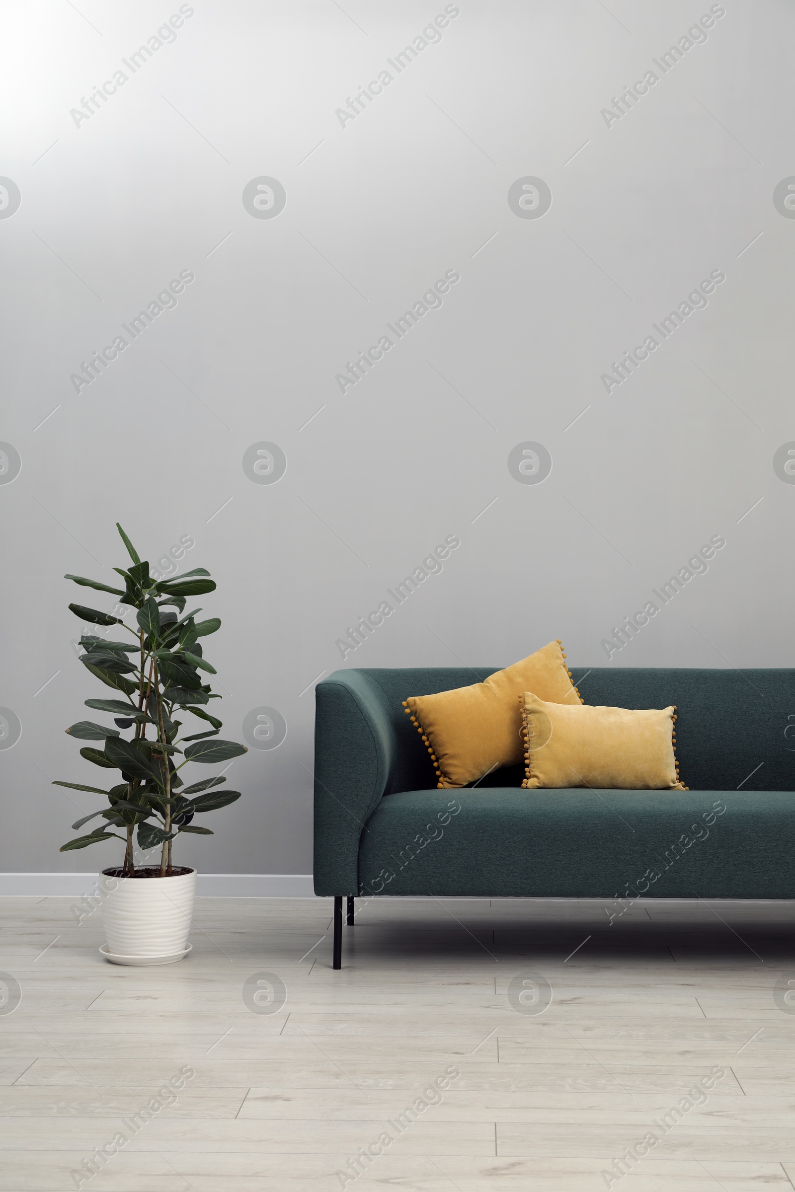 Photo of Stylish room interior with comfortable sofa and houseplant