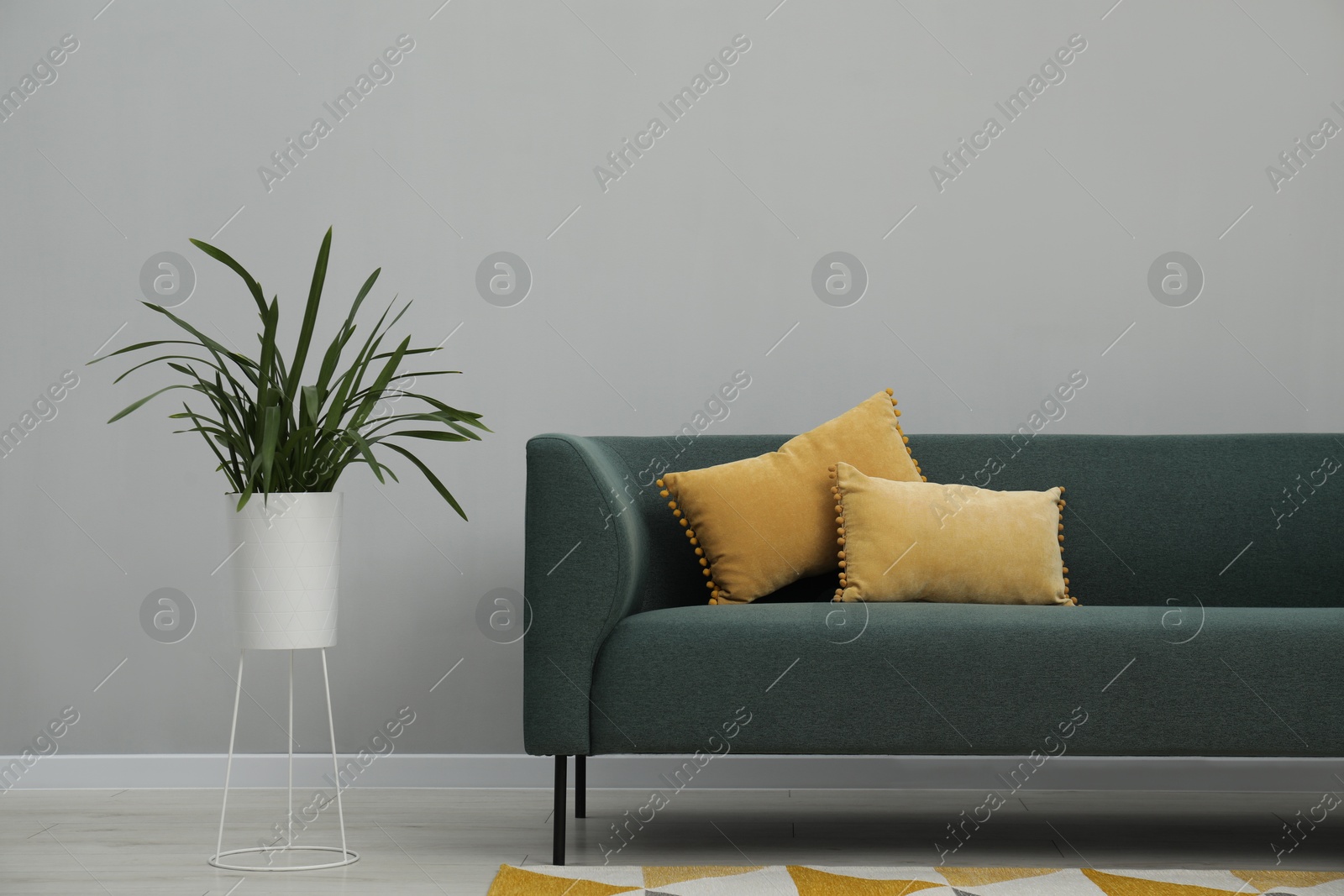 Photo of Stylish room interior with comfortable sofa and houseplant