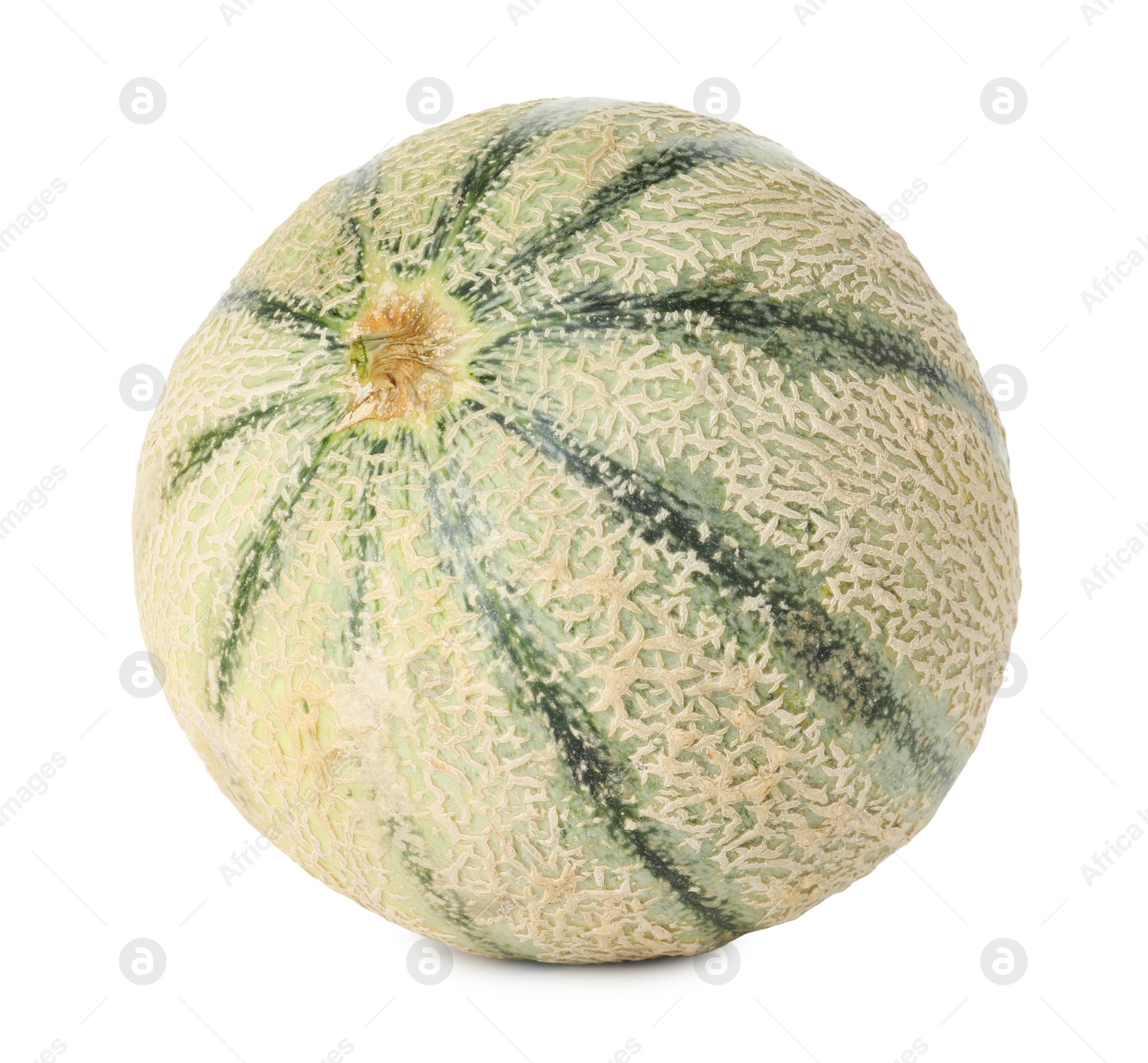 Photo of One whole Cantaloupe melon isolated on white